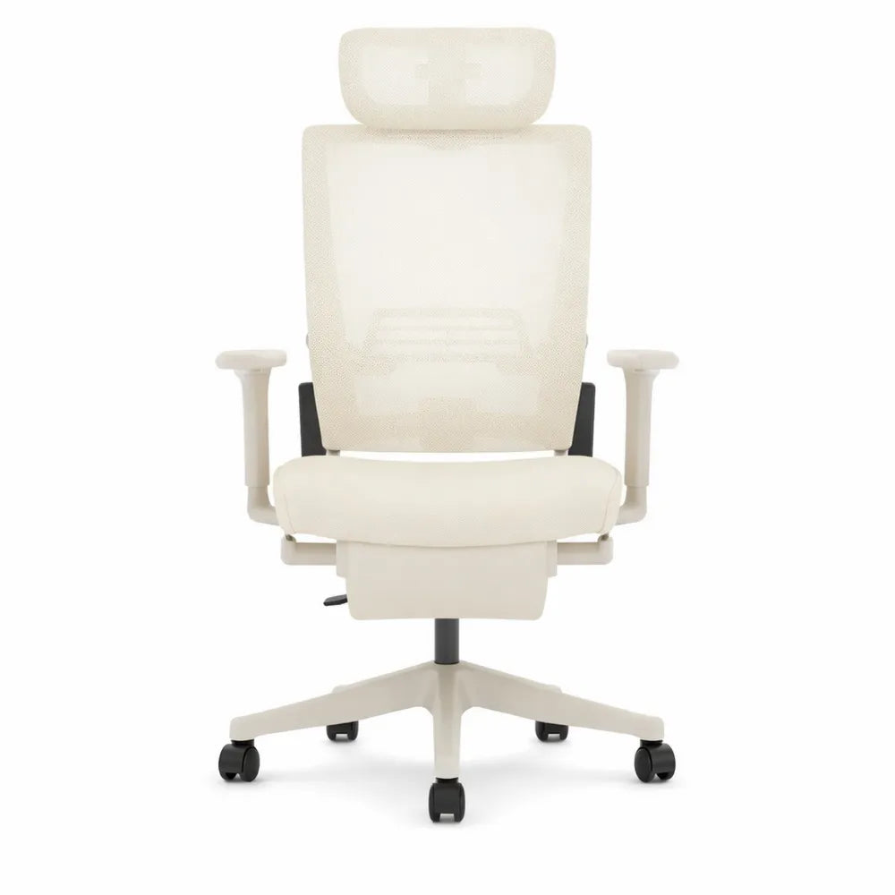 Chaise de Bureau Ergonomique avec Repose-Pieds, Support Lombaire et Accoudoirs Réglables